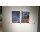 Still life. Metamorphosis. Dialog between classic and contemporary