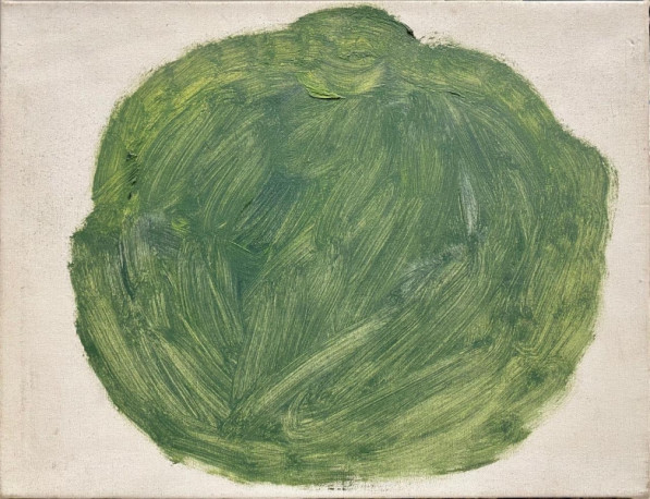 Head of cabbage